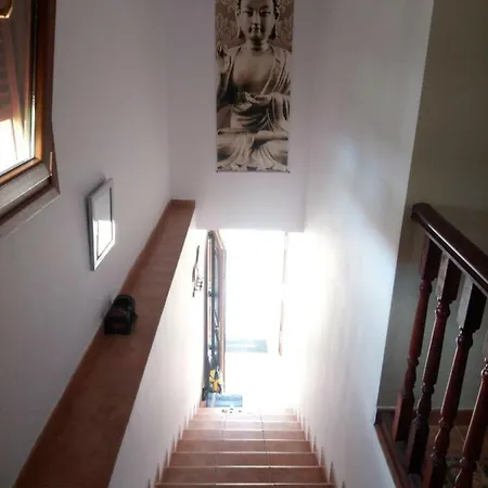 Helguera